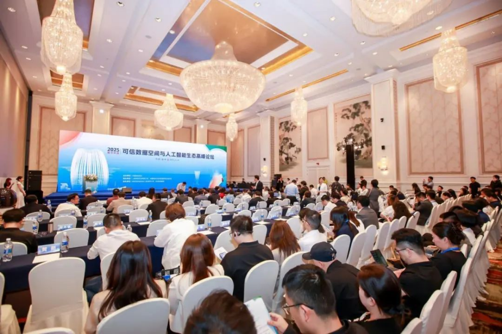 2025數(shù)字中國(guó)可信數(shù)據(jù)空間與人工智能生態(tài)高峰論壇成功舉辦